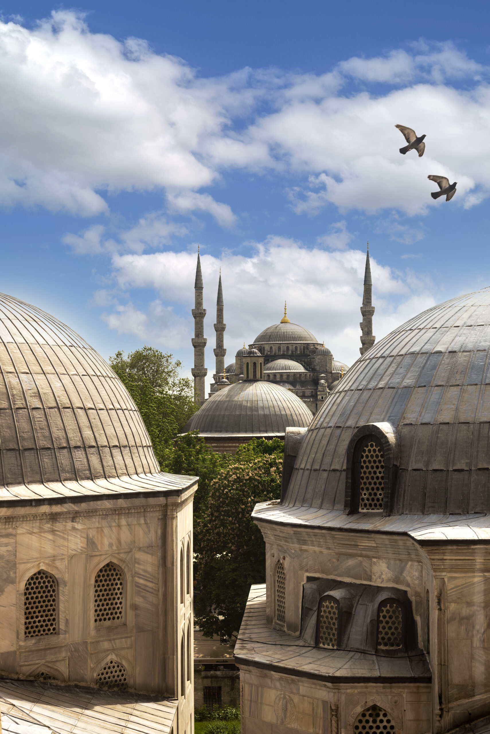 Moske i Istanbul med kupler og fugle på himlen